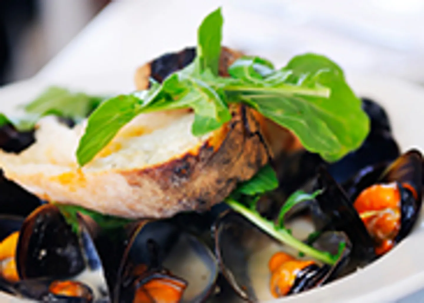 Restaurant - Photo 1 sur 1