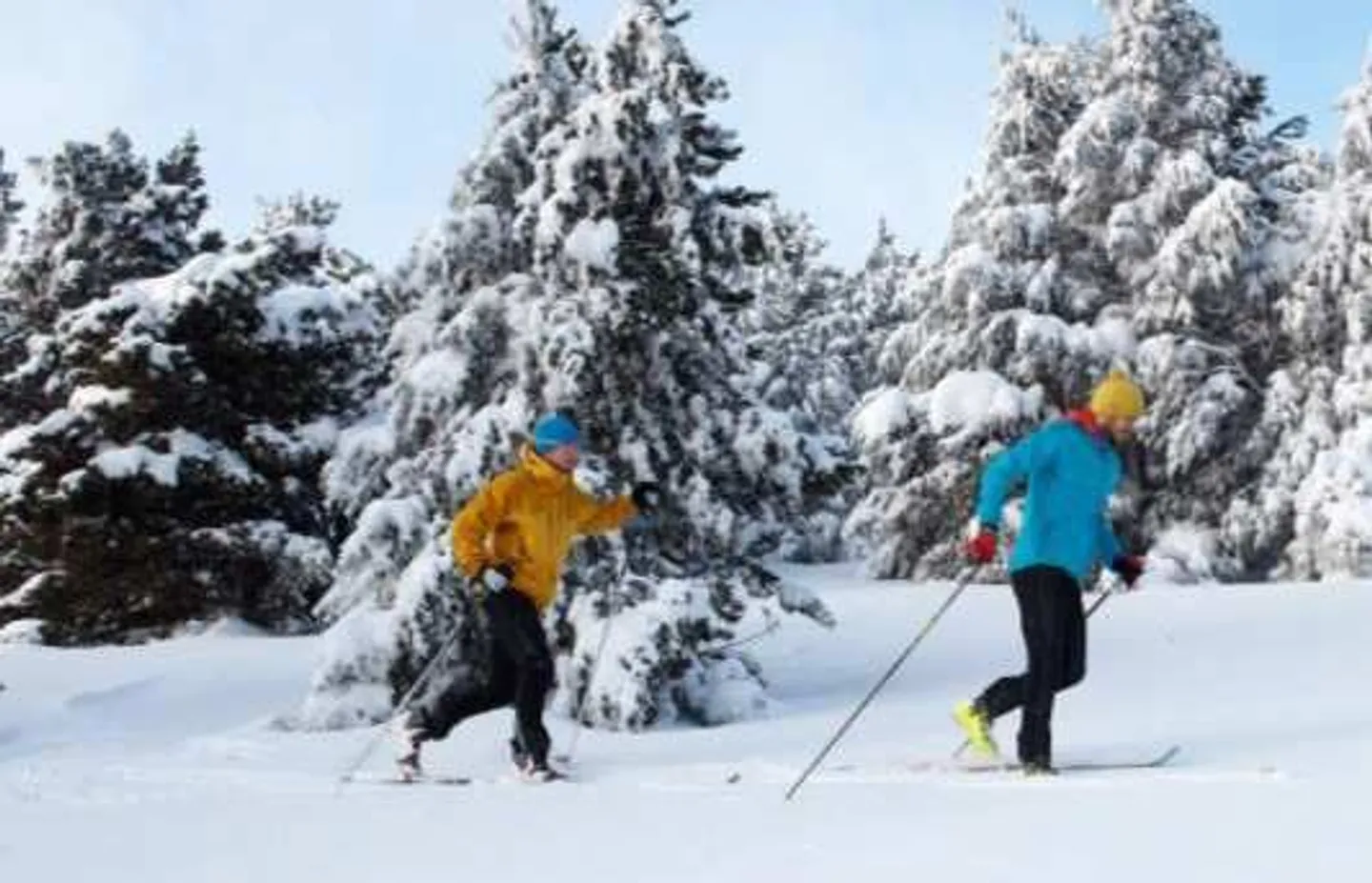 Chalet kaufen - Foto 6 von 11