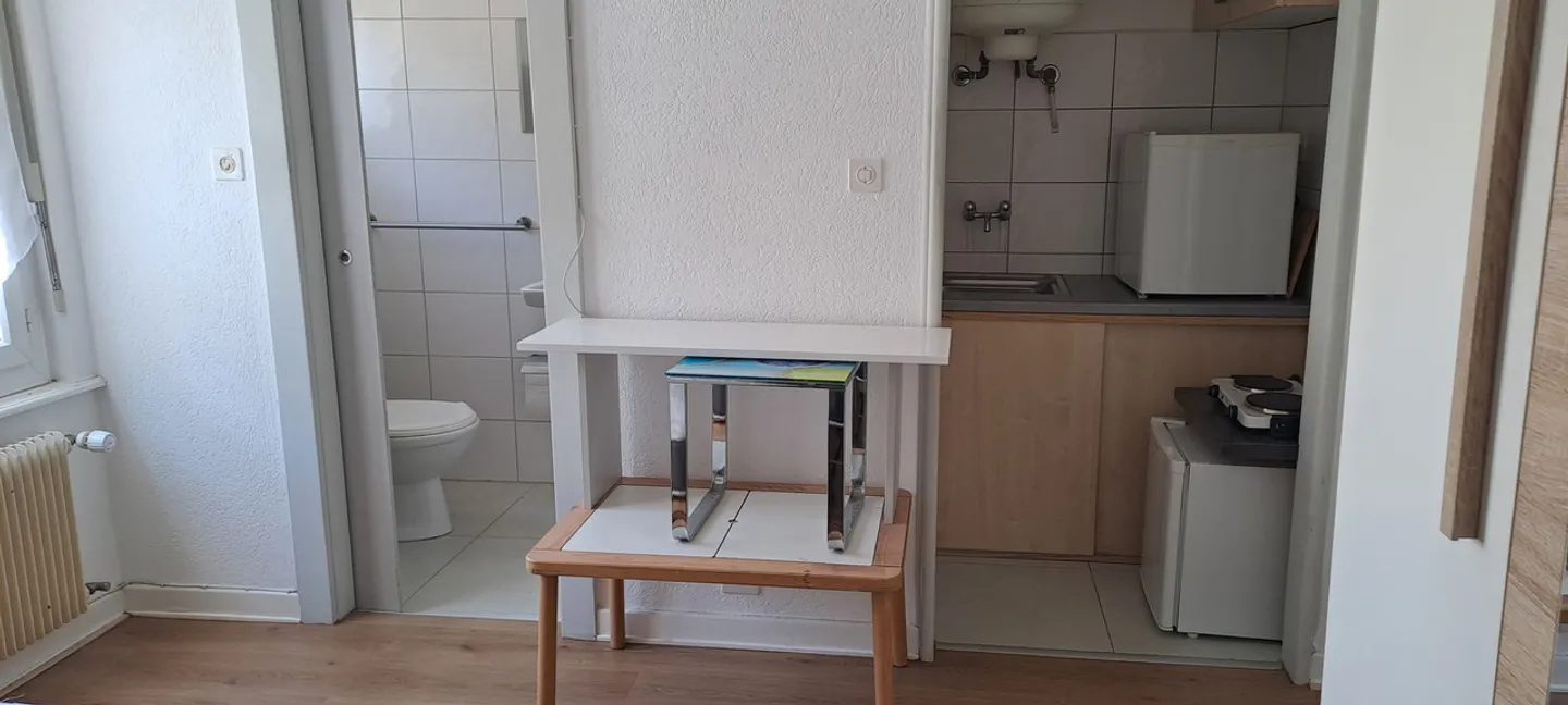 For Rent Furnished Studio - Photo 9 of 23