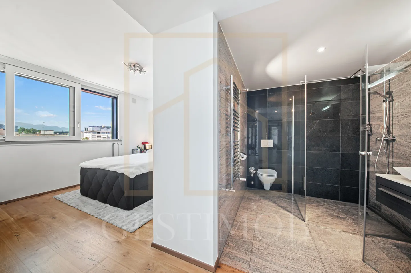 OPPORTUNITE : LUMINOSITE & VUES DEGAGEES A CAROUGE - Photo 11 sur 13