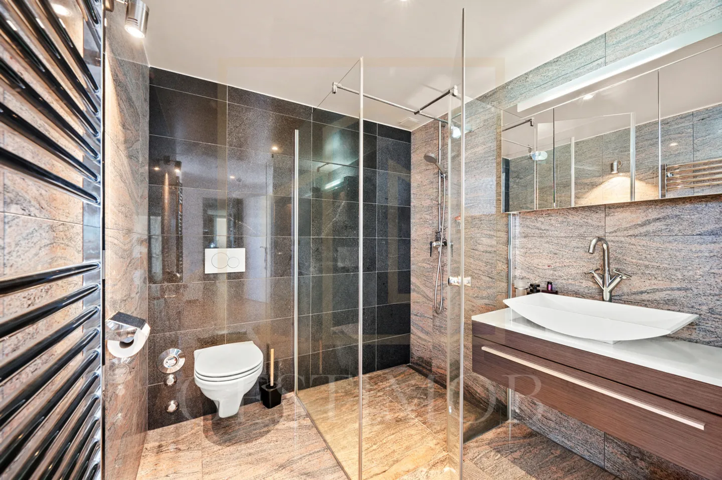 OPPORTUNITE : LUMINOSITE & VUES DEGAGEES A CAROUGE - Photo 13 sur 13