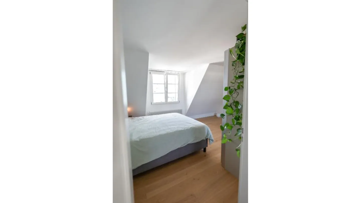 2 ZI APARTMENT IN BERN - MATTENHOF, FURNISHED, TEMPORARY - Photo 5 of 8