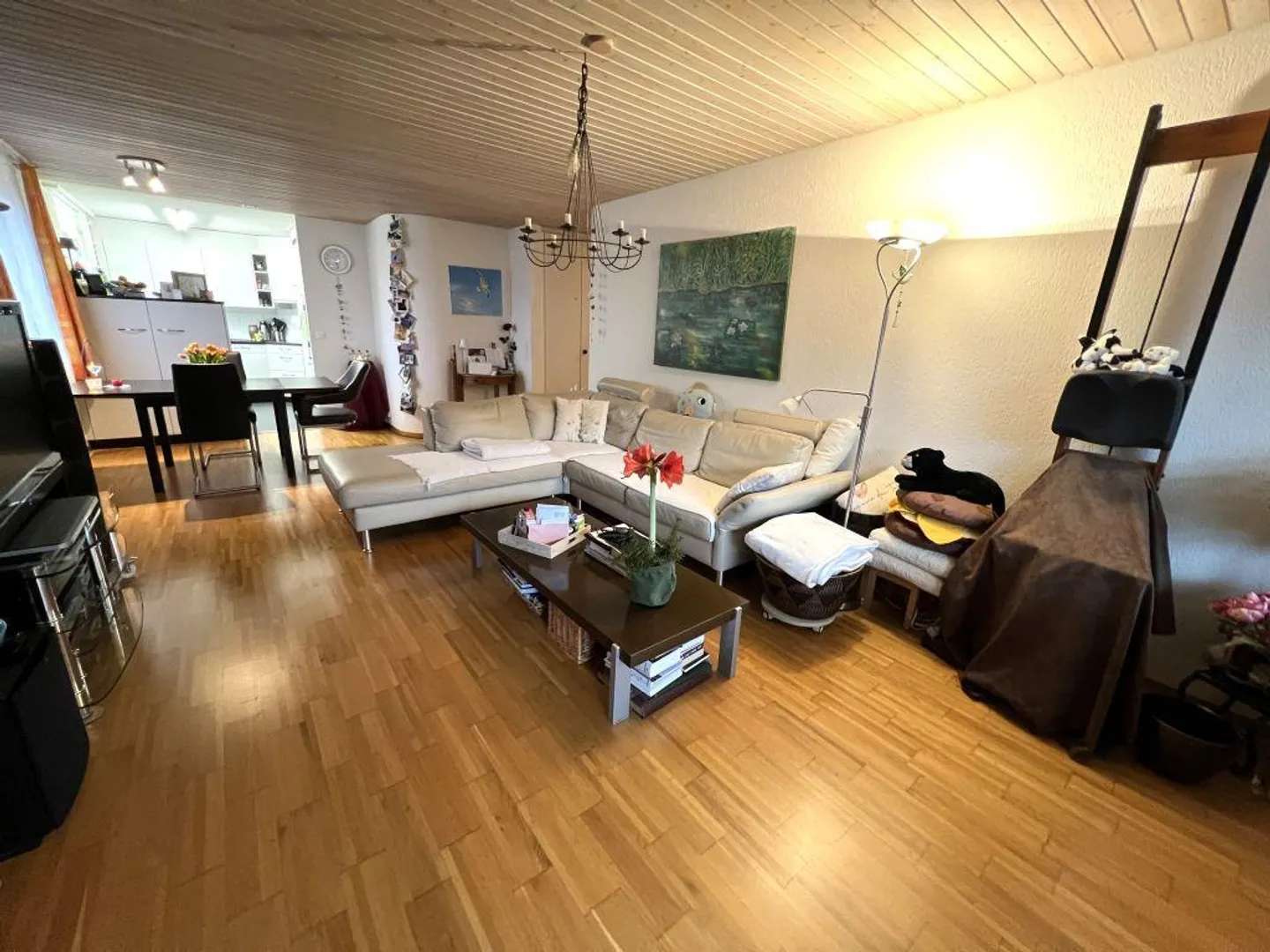 Vivre en ville et pourtant dans la verdure ! - Photo 6 sur 13