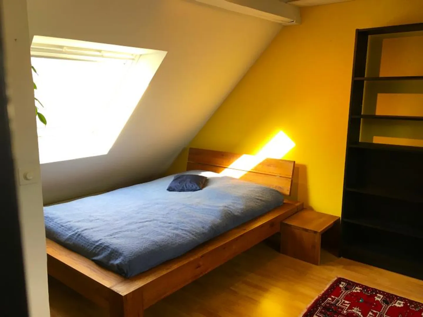 Furnished Shared Room - Photo 1 of 3