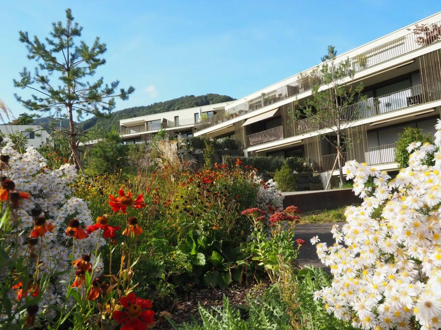 "Grüner Wohnen" am Schwalbenweg 6 in Balgach - Foto 7 von 8