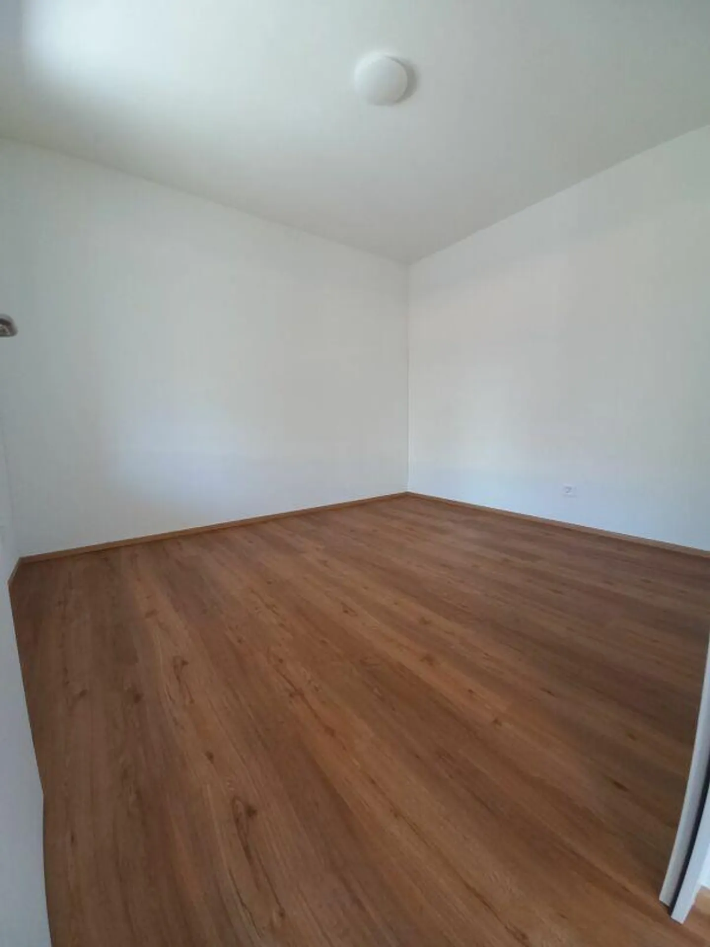 2.5-room apartments in a quiet location - Photo 3 of 5