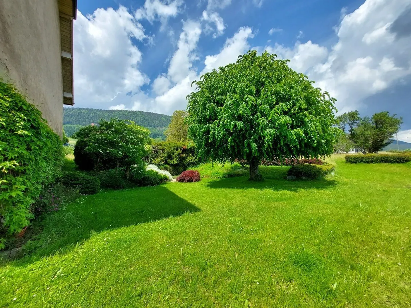 Charming farmhouse with a view of the lake and the Alps, comprising two apartments and a barn - Photo 3 of 13