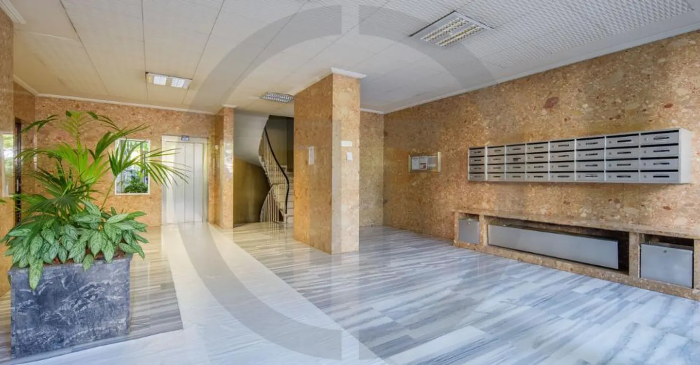 Grand appartement à Grand-Saconnex - Photo 11 sur 12