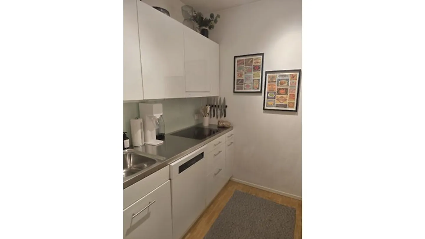 APPARTAMENTO 2½ STANZE A WINTERTHUR, ARREDATO, TEMPORANEO - Foto 5 di 8