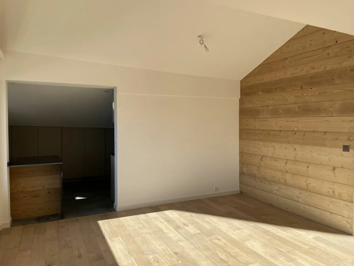 Appartamento attico 4.5 - VISTA IMPRENDIBILE - Foto 9 di 9