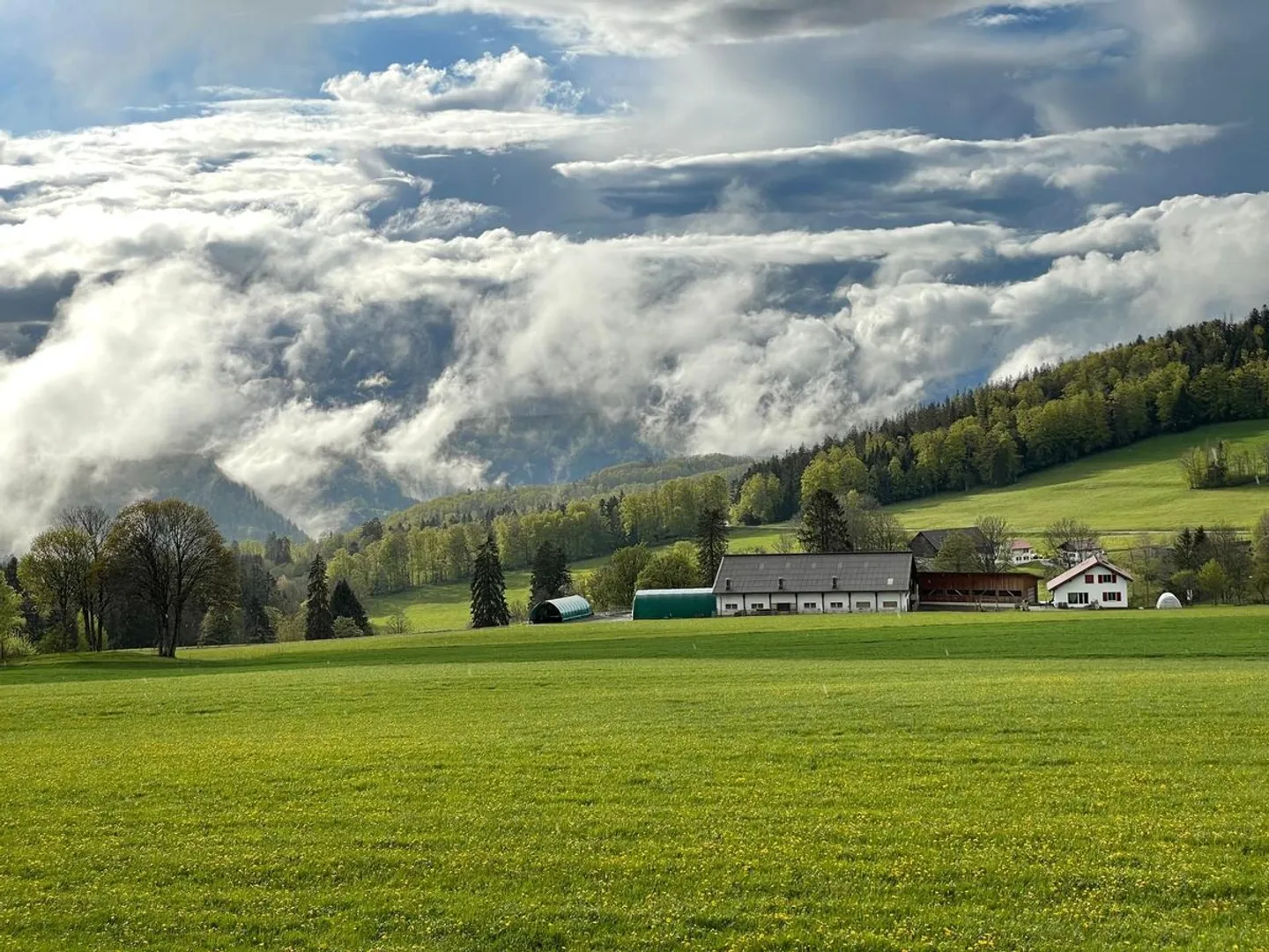 charming detached house with garden - Photo 2 of 13