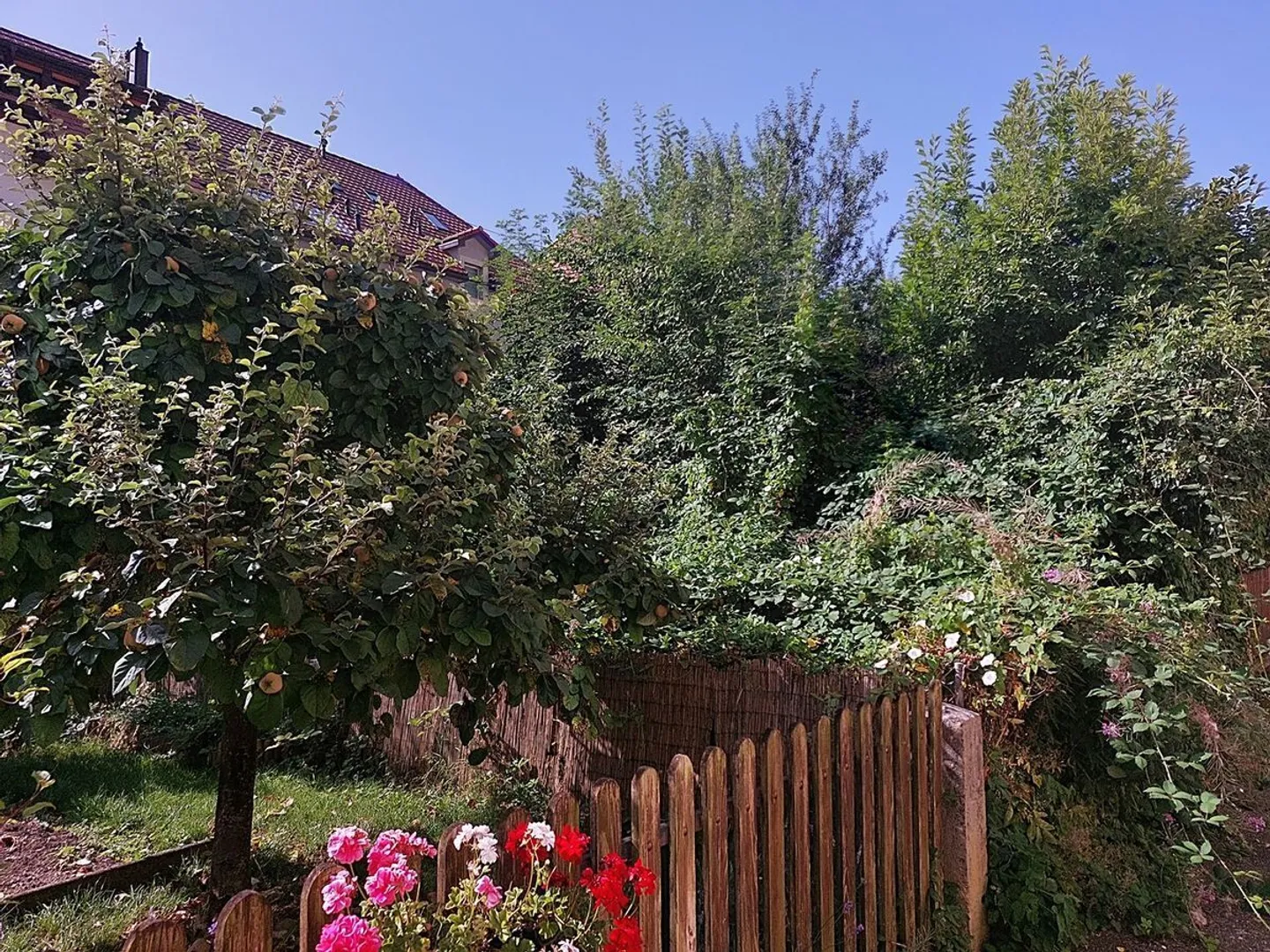 Maison de 3 appartements avec jardin - Photo 2 sur 11