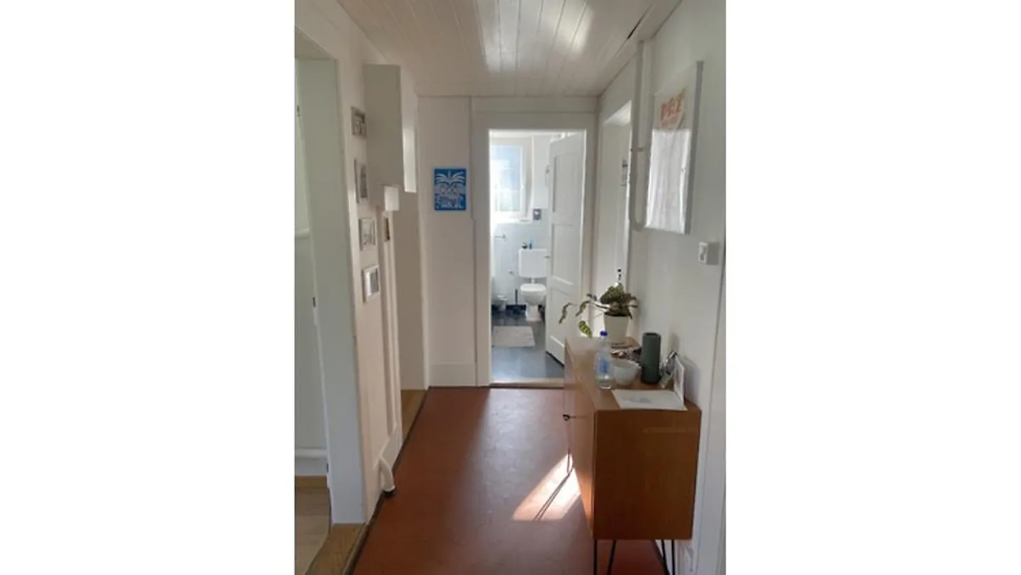 APPARTAMENTO 2½ STANZE A BERN, ARREDATO, TEMPORANEO - Foto 4 di 7