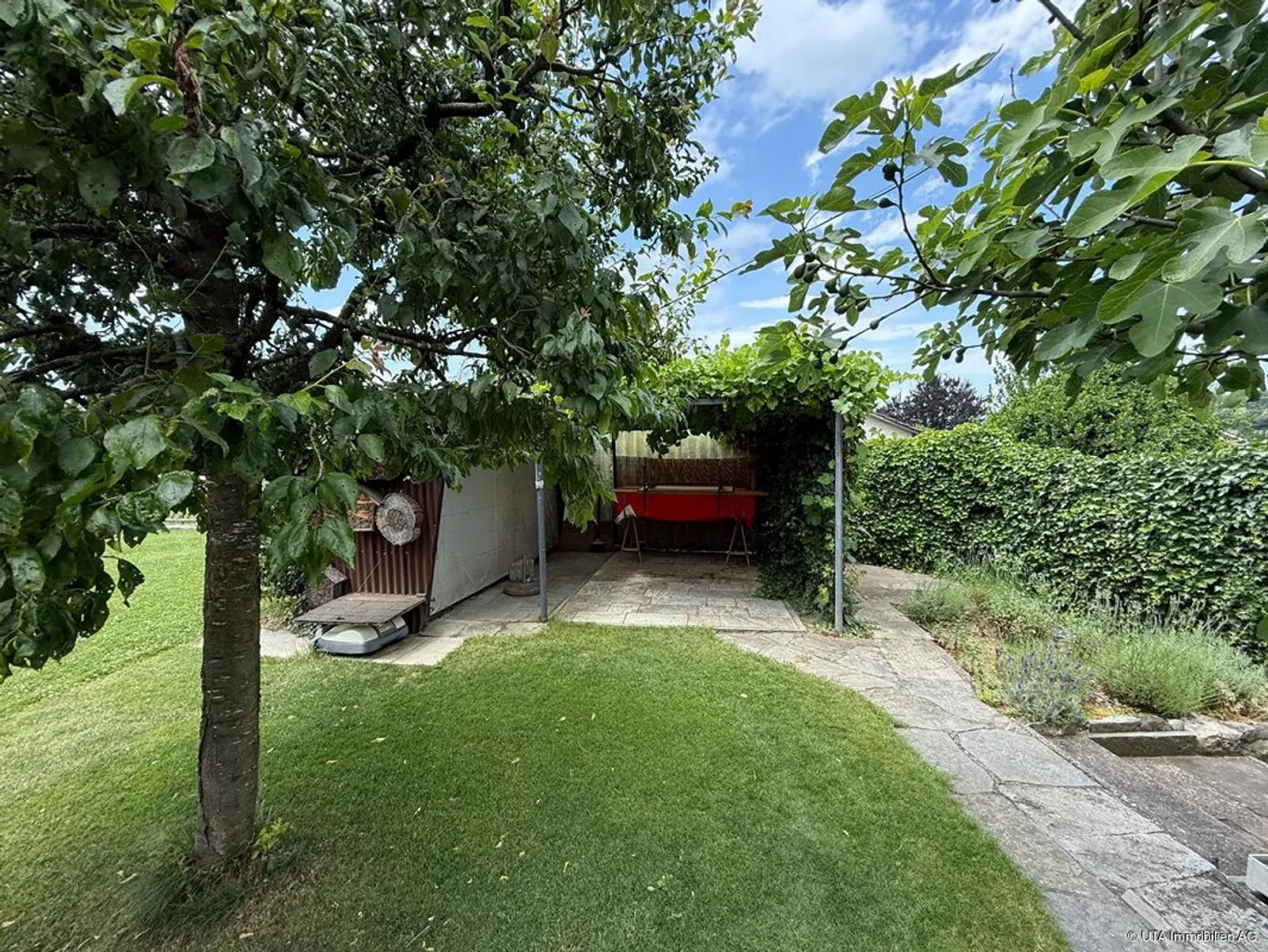 Casa unifamiliare con grande giardino in un quartiere tranquillo - Foto 6 di 12