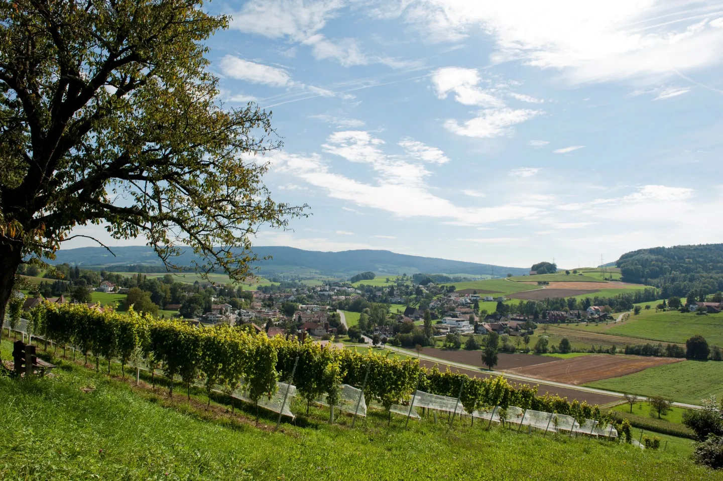 Terrain constructible pour votre investissement ! - Photo 6 sur 6