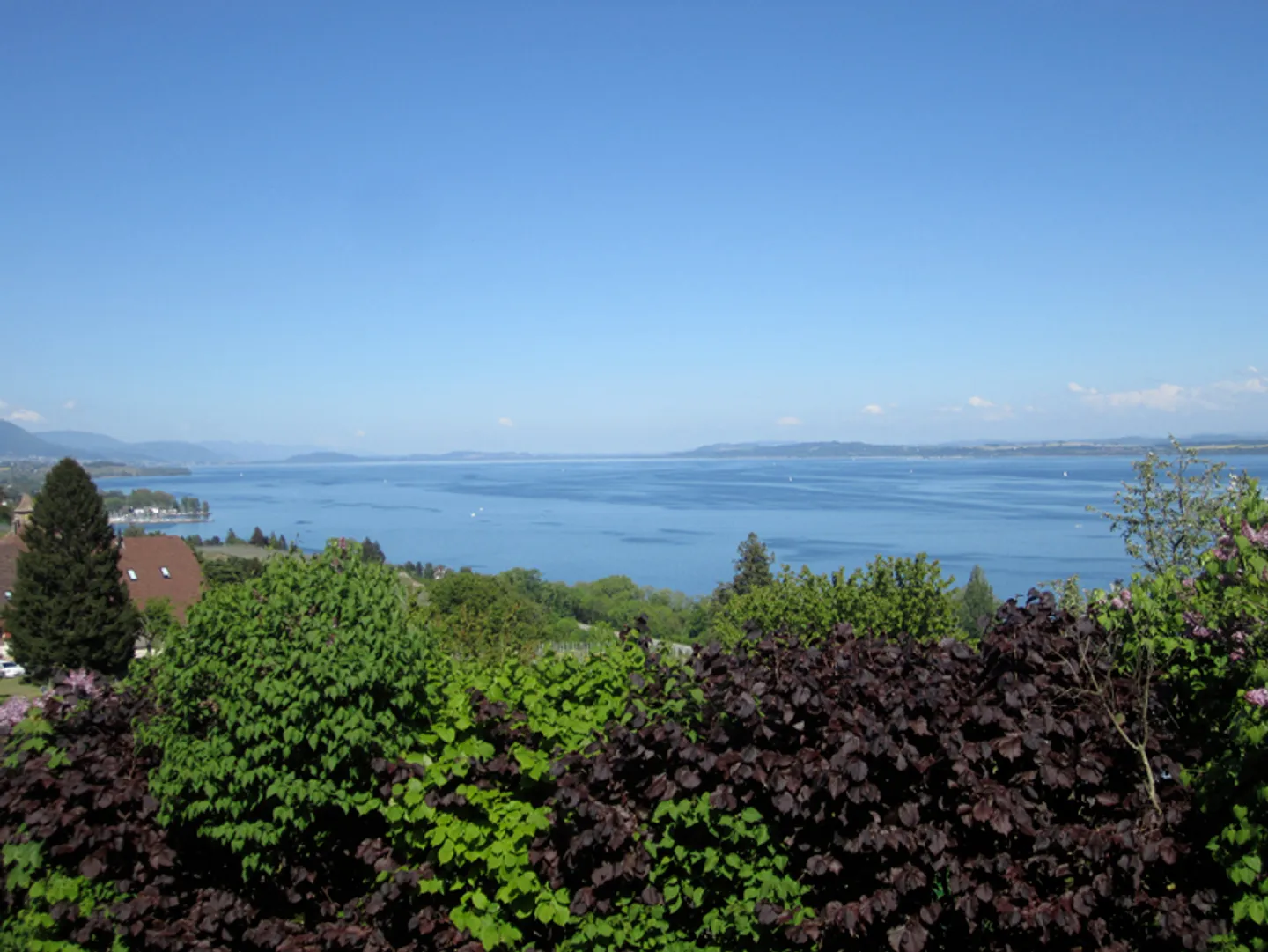 PRÄCHTIGES WEINGUTSHAUS IN RUHIGER LAGE - Foto 1 di 19