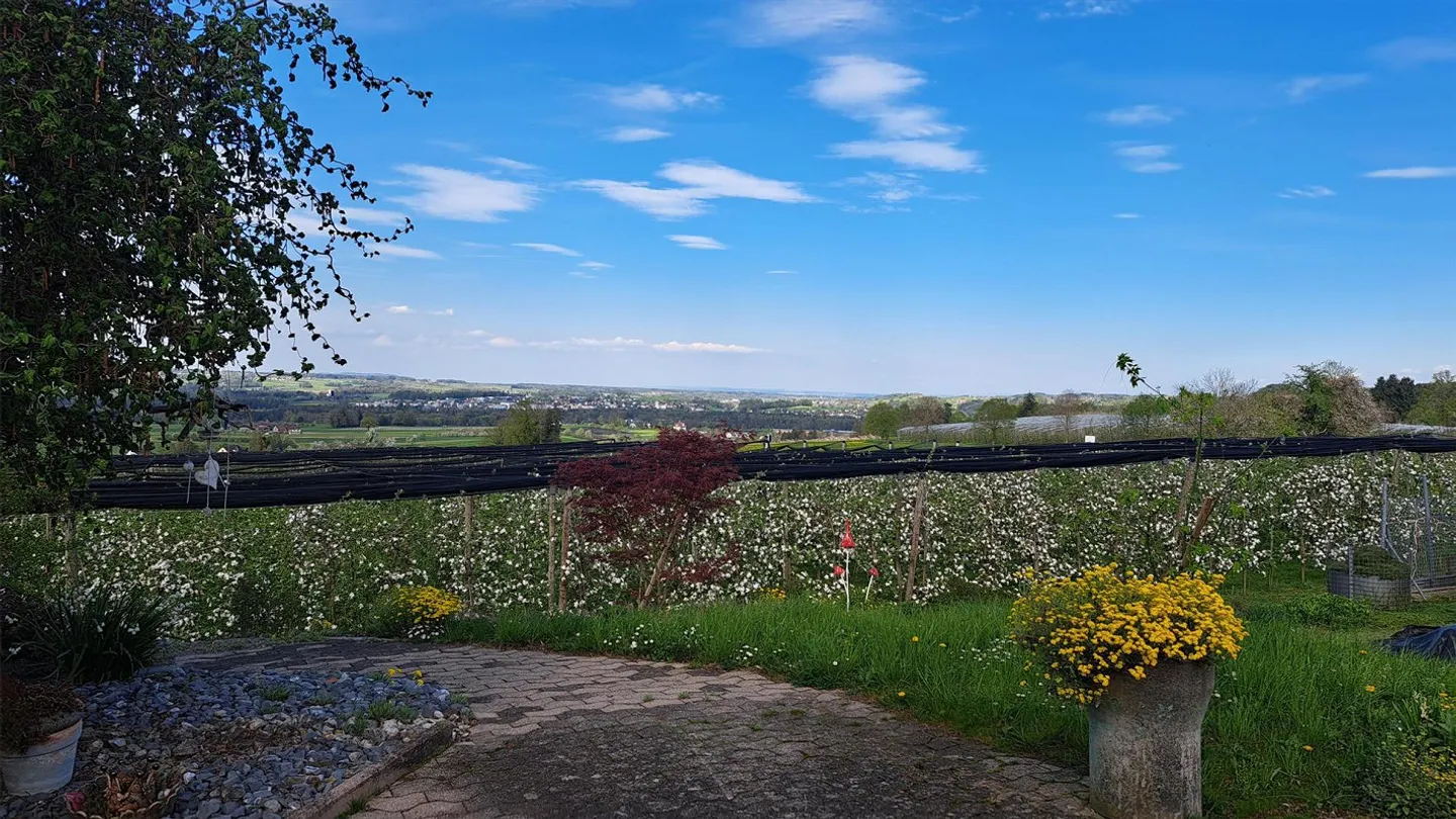 Charming single-family home with a view and potential in Schönholzerswilen - Photo 5 of 22