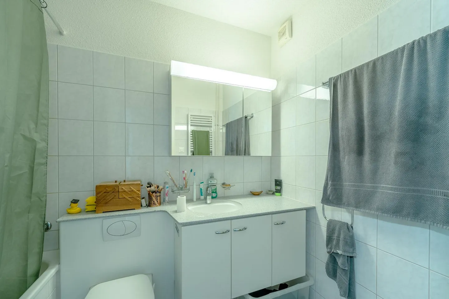Casa multifamiliare doppia nella città di Lucerna - Foto 15 di 17