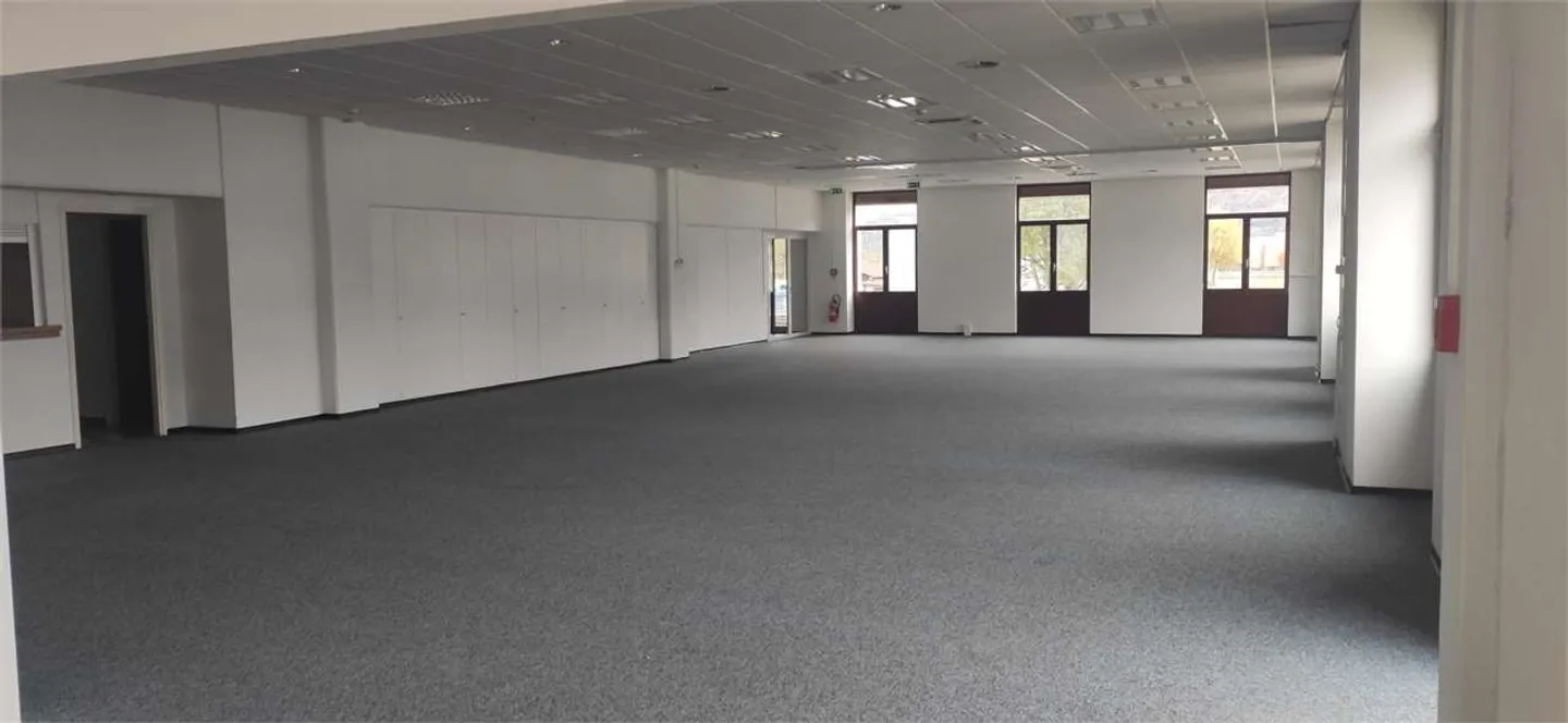 Gewerbefläche in Camorino - Foto 6 von 10