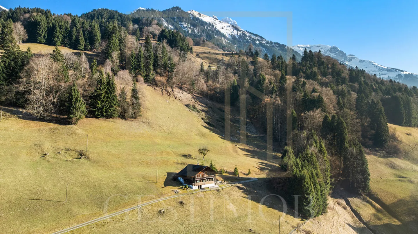Exclusivity: Magnificent Authentic Chalet with Great Potential - Photo 1 of 20