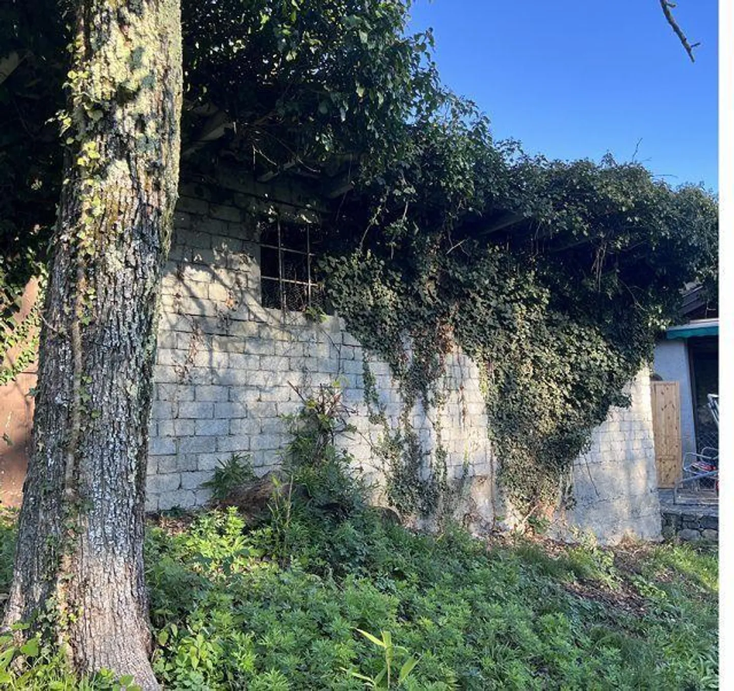 Incantevole casa di campagna a Malcantone - Foto 24 di 36