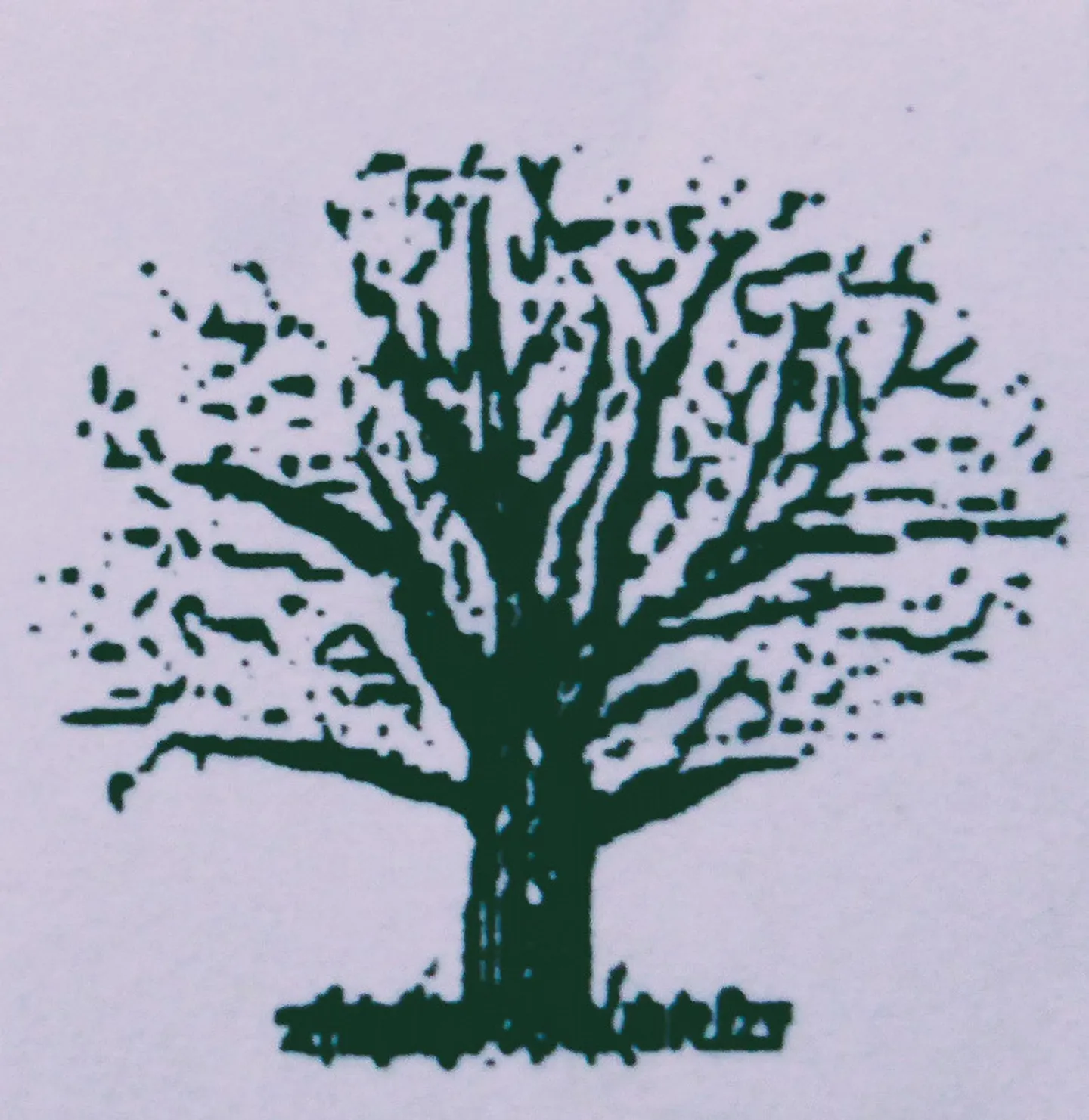 Helles Atelier zu vermieten - Foto 7 von 7