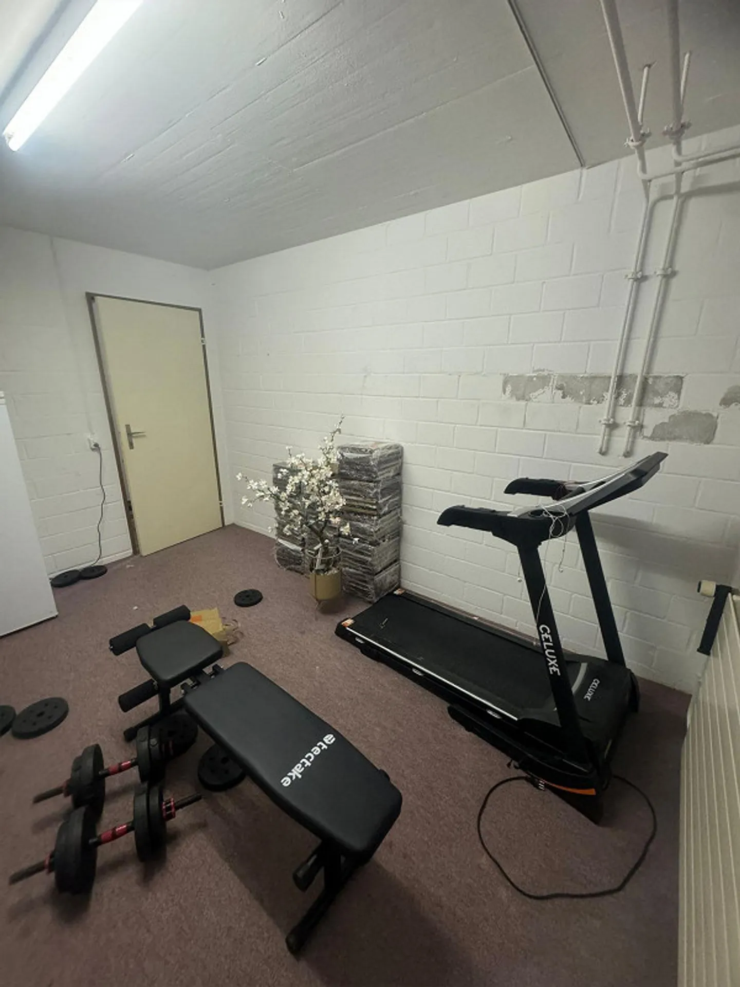Posti auto e sala hobby in affitto a Egerkingen! - Foto 2 di 3
