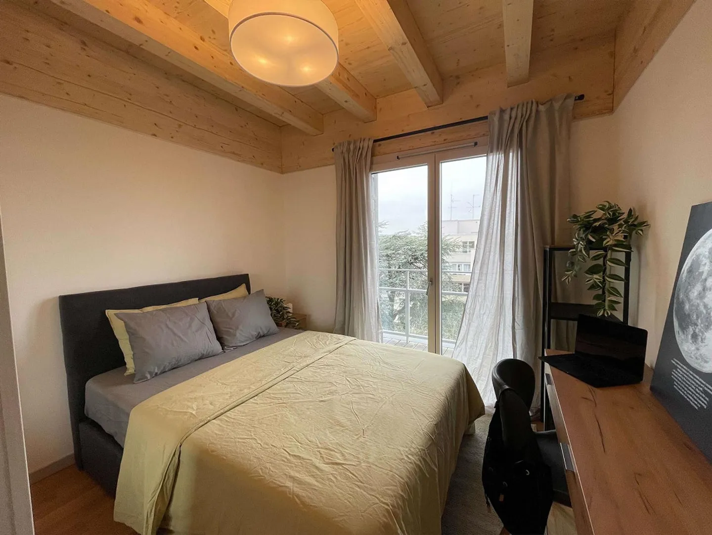 Pepe #1, Avenue Wendt, 1203 Genève - Foto 3 di 30