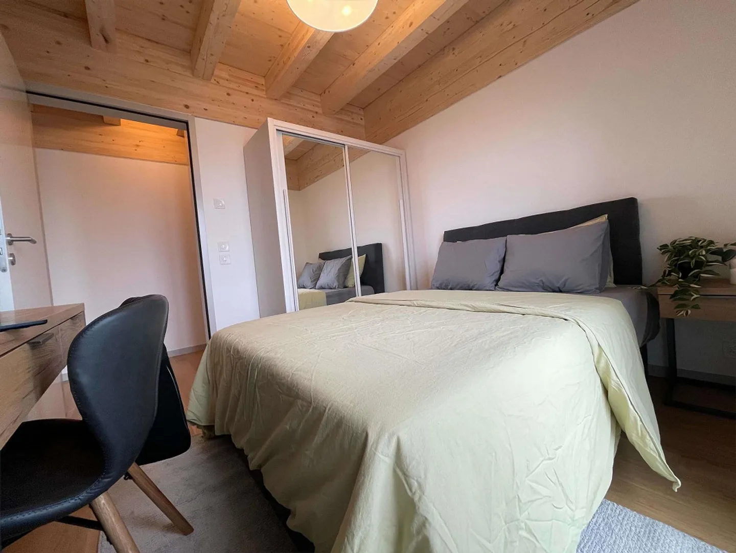 Pepe #1, Avenue Wendt, 1203 Genève - Foto 6 di 30