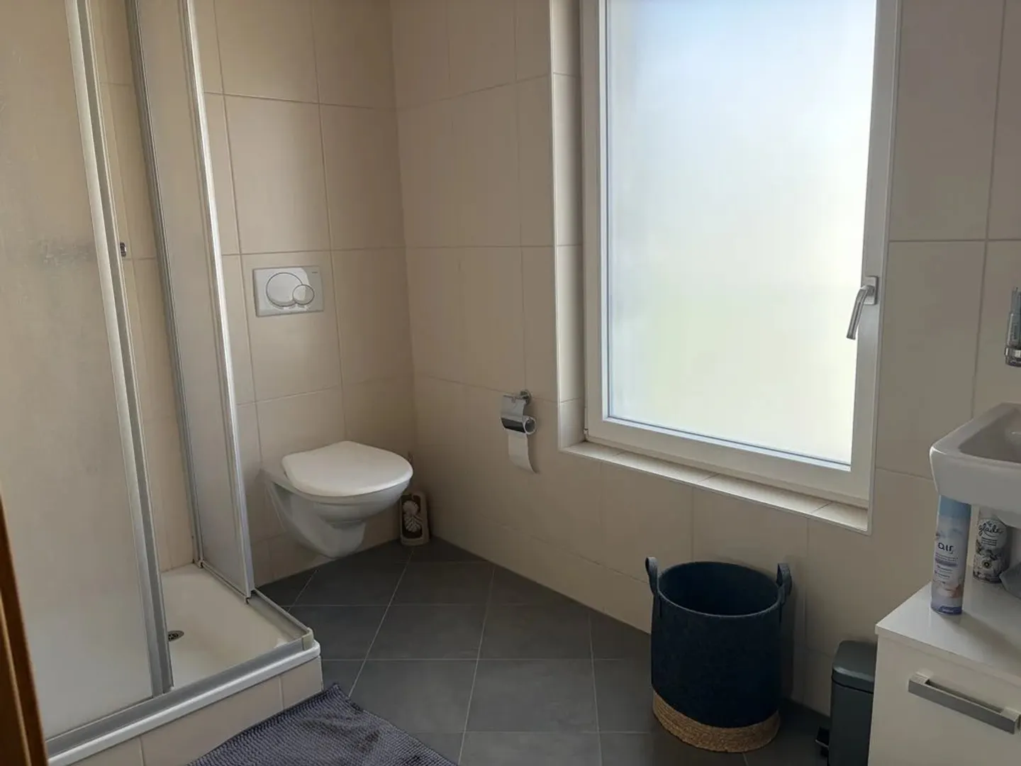 3.5-room duplex apartment on the 4th floor with balcony and garden and mountain view. - Photo 8 of 12