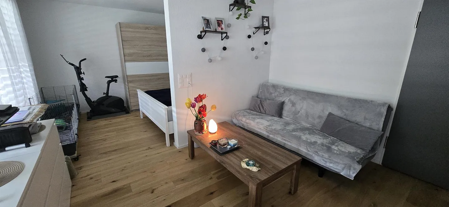 Appartement lumineux de 2,5 pièces avec balcon à Balsthal (année de construction 2025) - Photo 6 sur 13