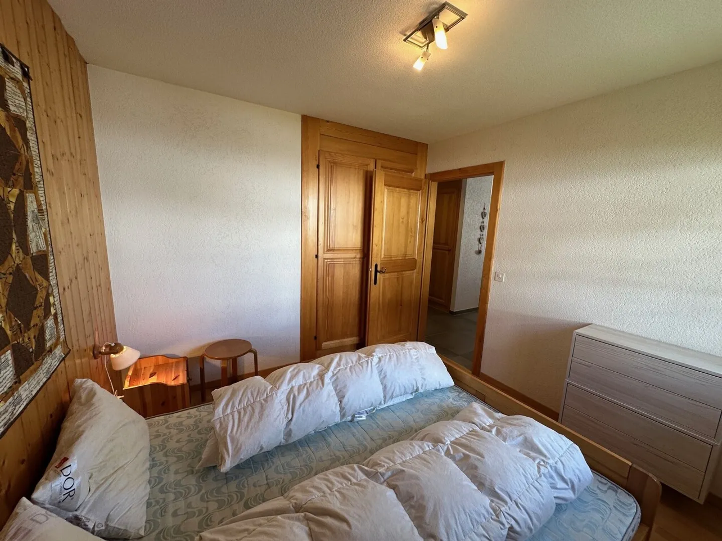 Magnificent 3 1/2-room apartment in Les Crosets, Valais - Photo 3 of 17
