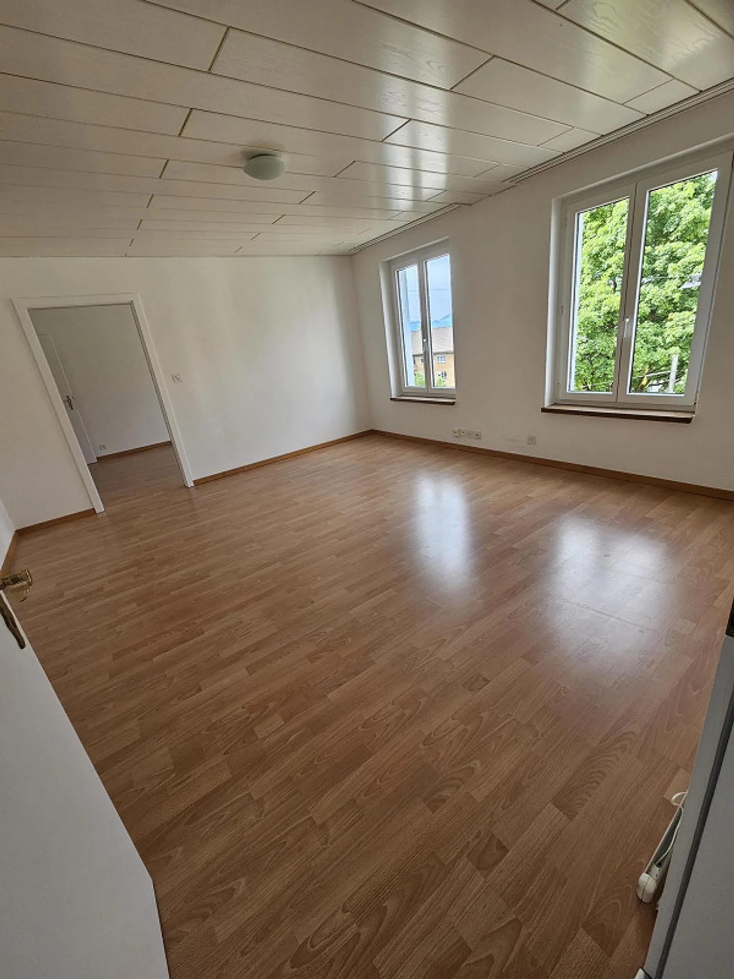 Bright, newly renovated 2 1/2 room apartment - Photo 3 of 11