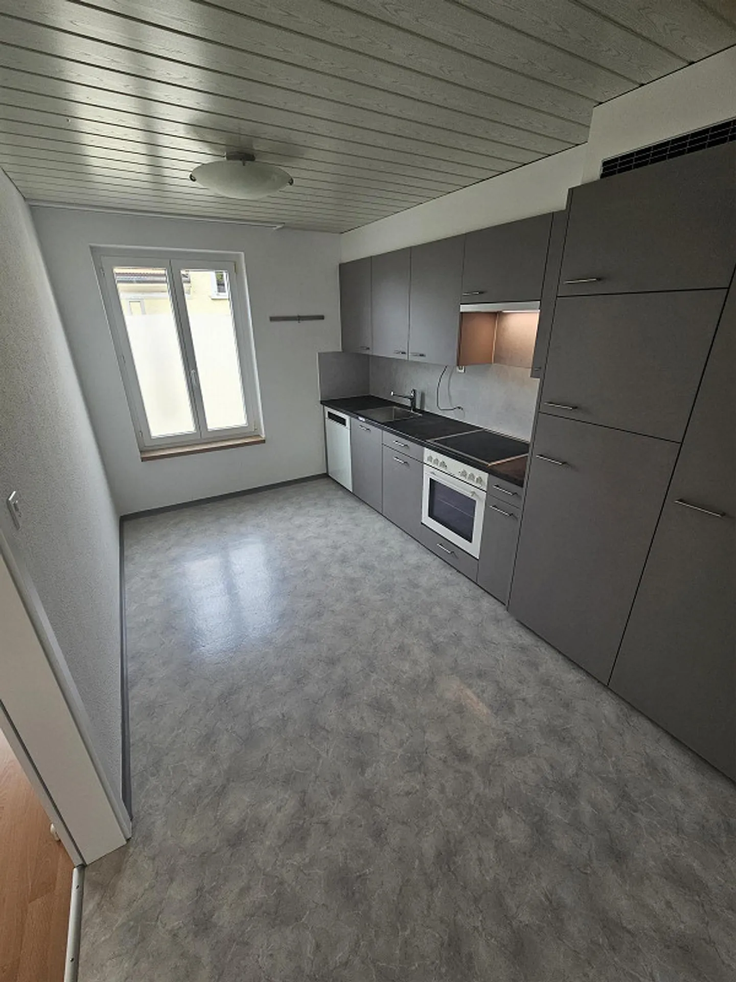 Bright, newly renovated 2 1/2 room apartment - Photo 4 of 11
