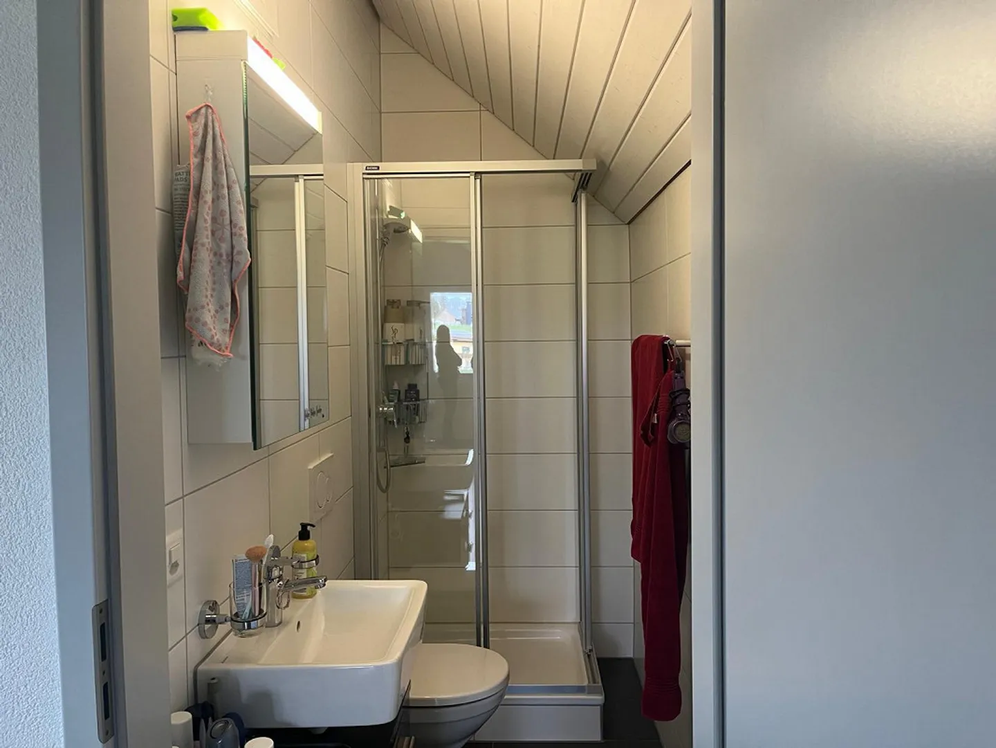 Appartamento 4.5 locali con galleria e balcone ad Aeschi - Foto 12 di 13