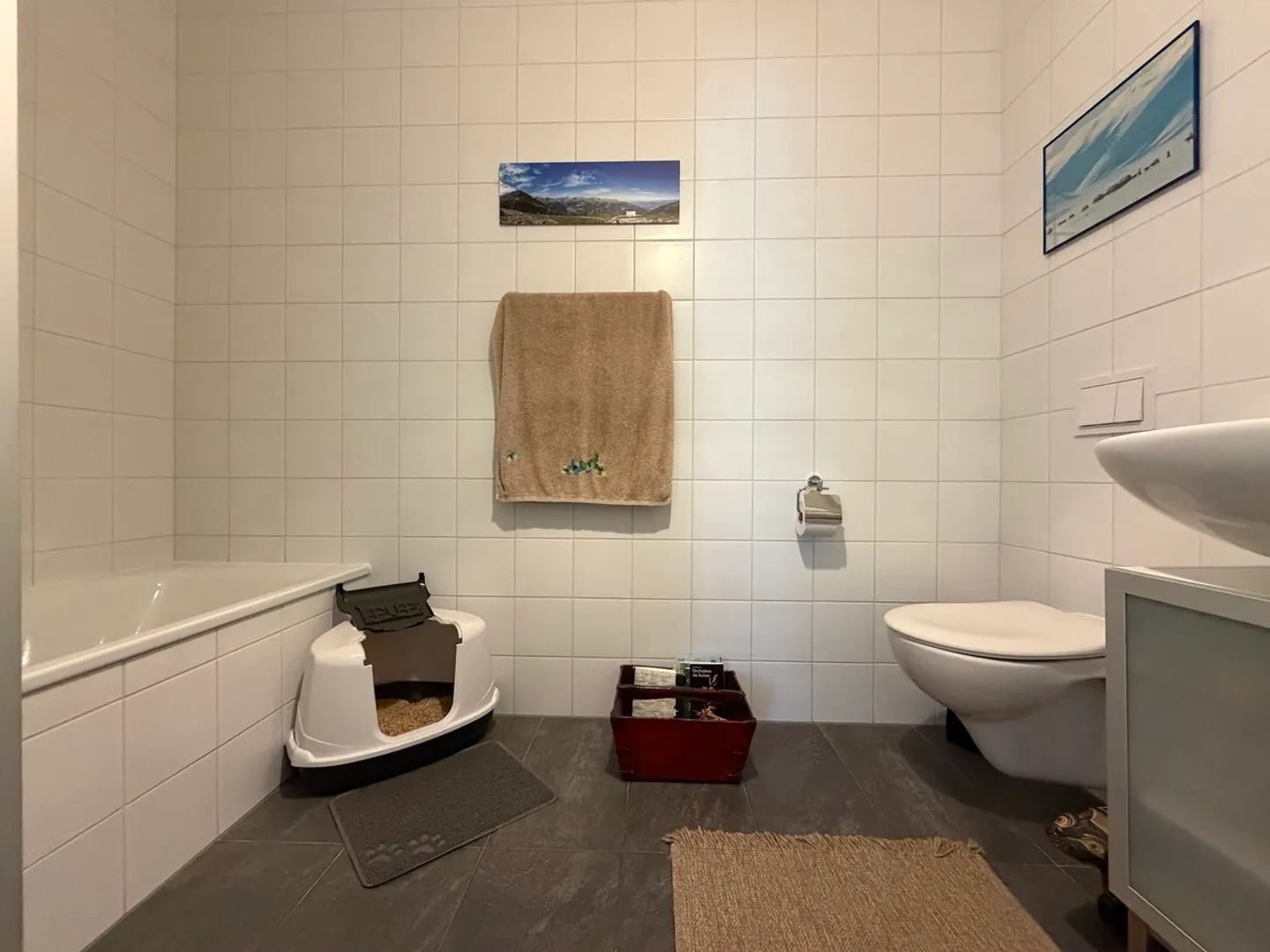 Stunning 4.5 rooms on the 3rd floor with large balcony - Photo 9 of 11