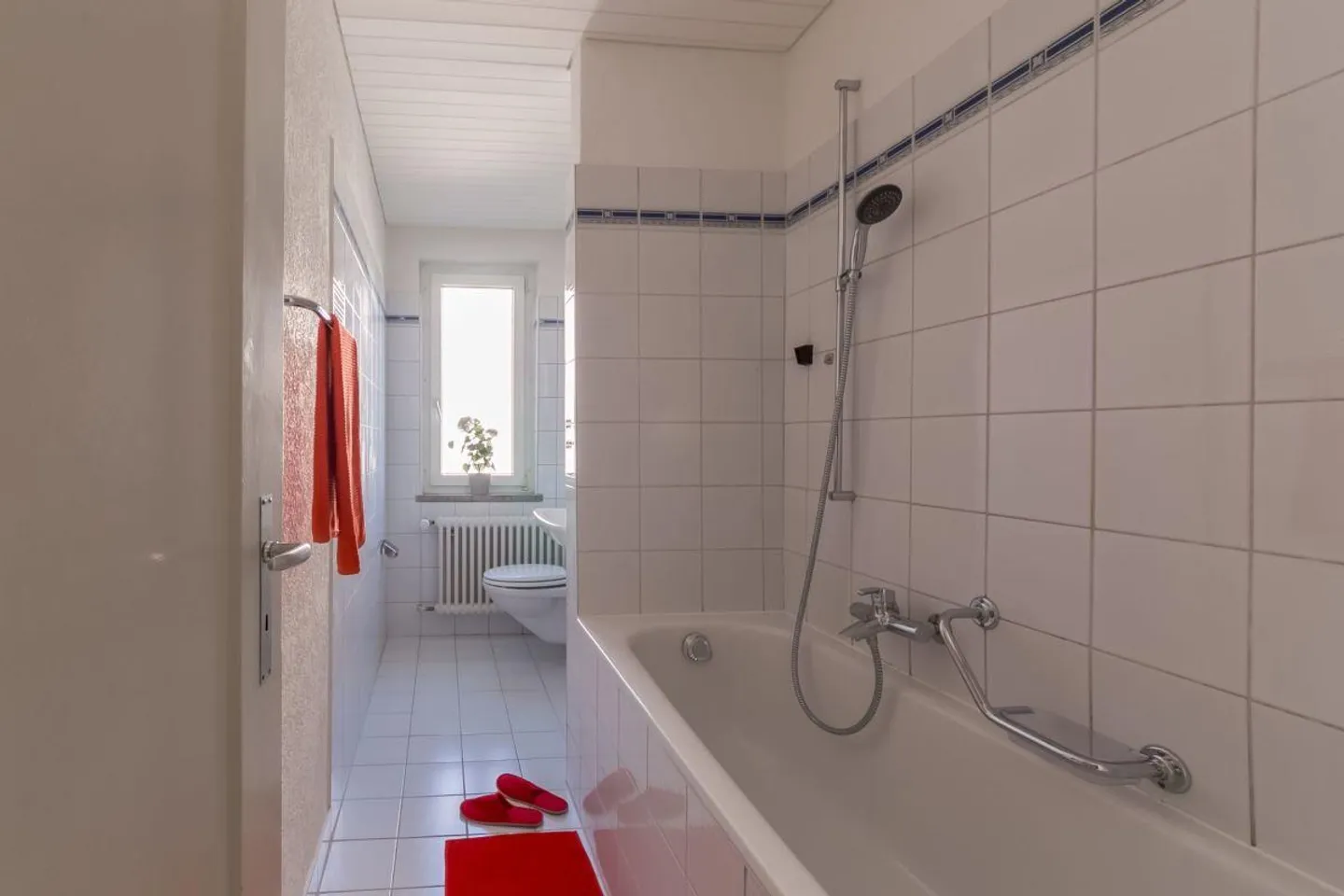 Beautiful Living on the Rhine - Photo 3 of 6