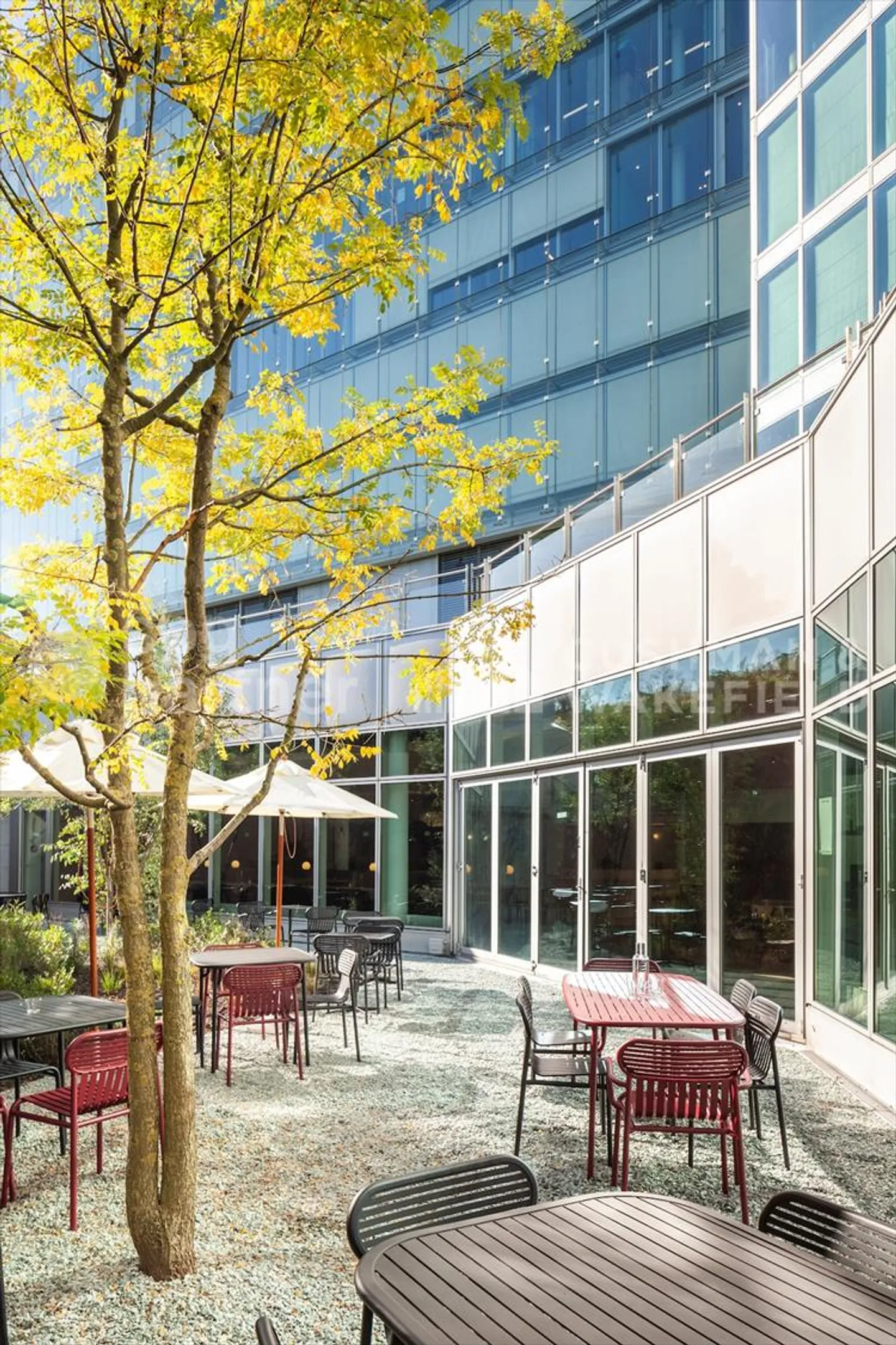 Uccello - Foto 4 di 11