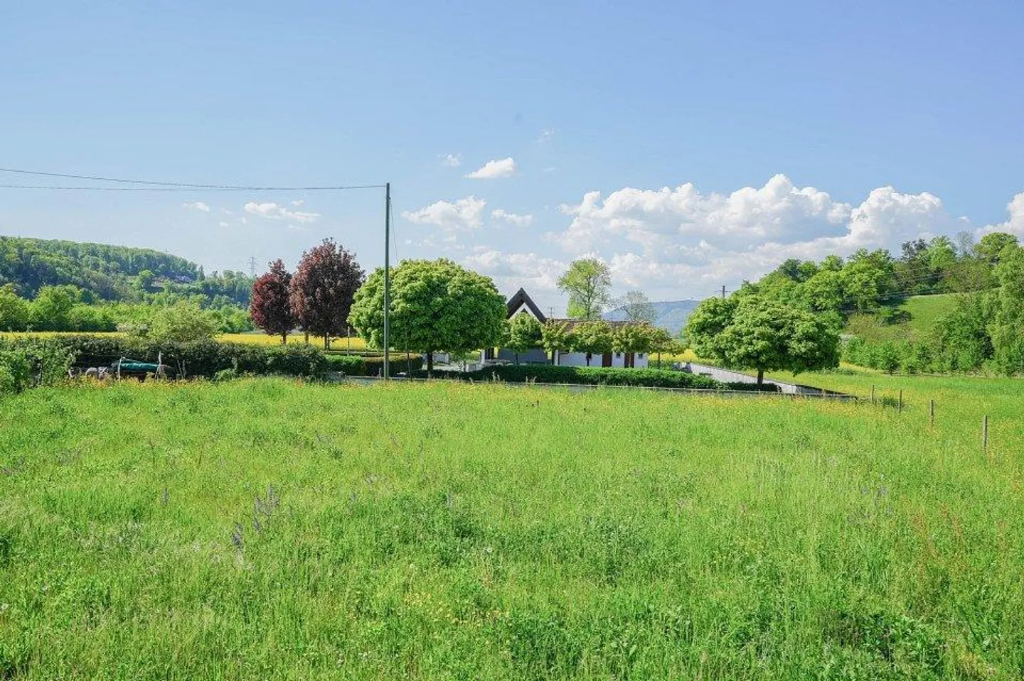 Three new apartments - individual and spacious - Photo 7 of 8