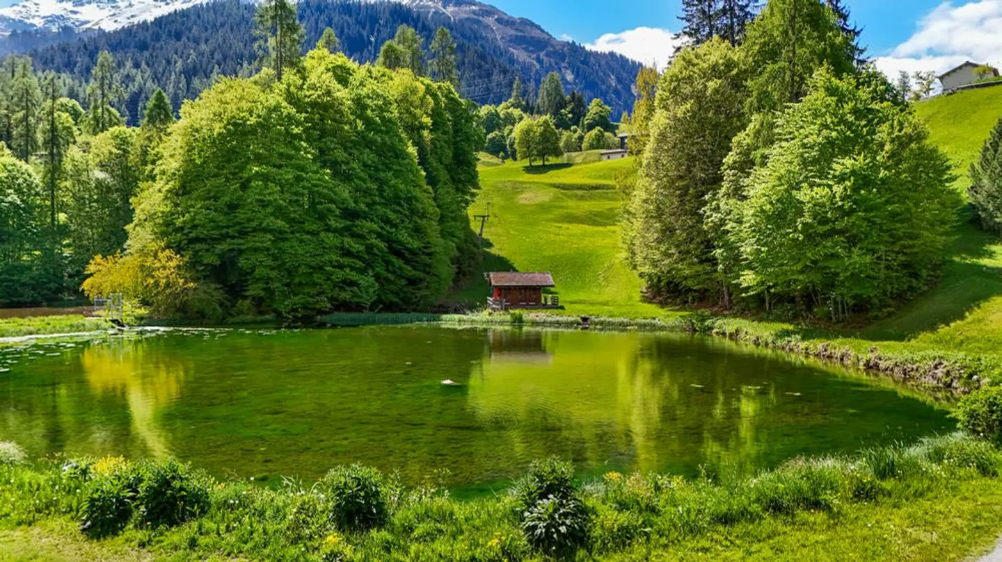 Fields of gold - Foto 12 von 12