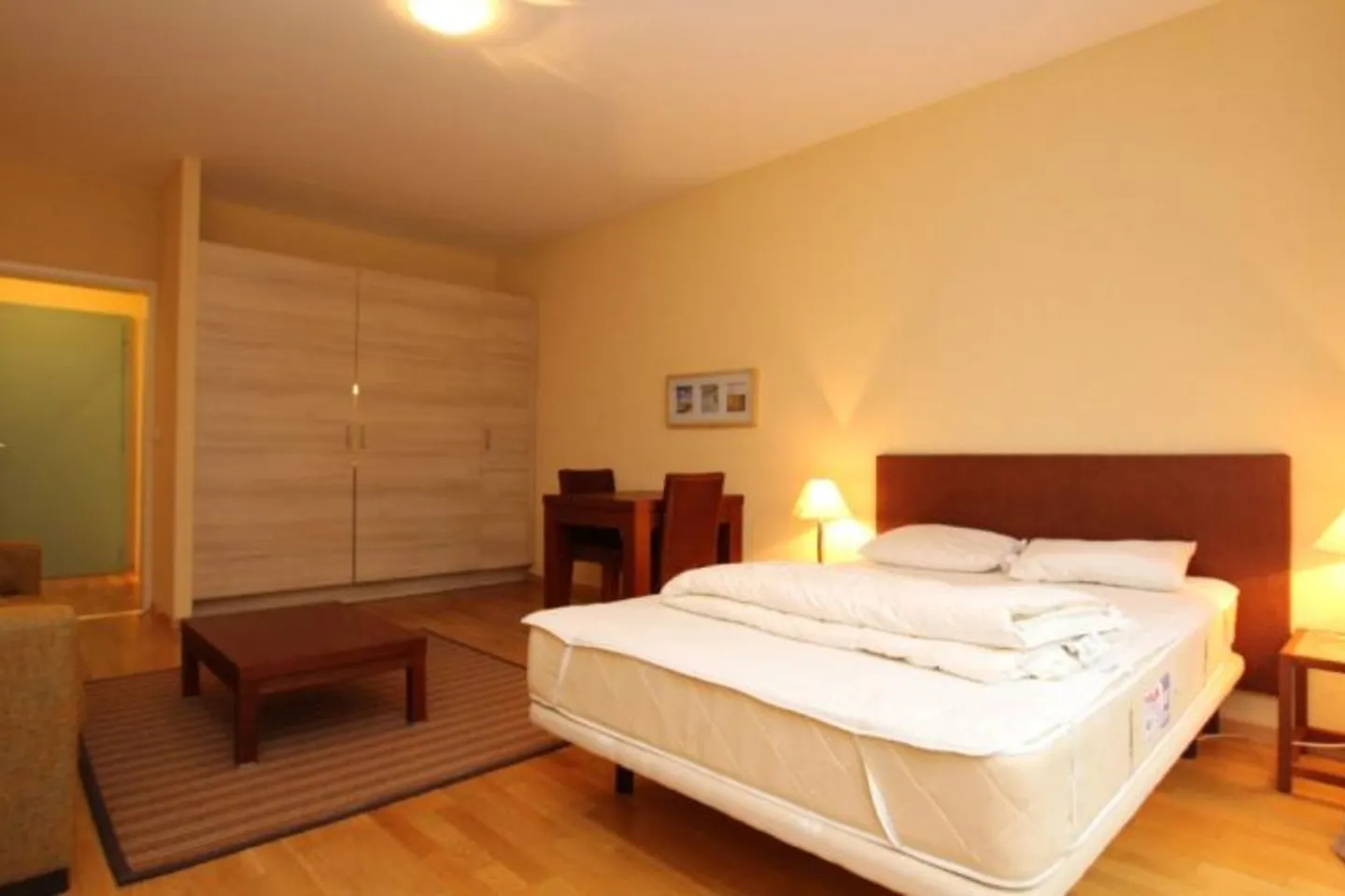 Charming Studio in Eaux-Vives - Photo 2 of 4