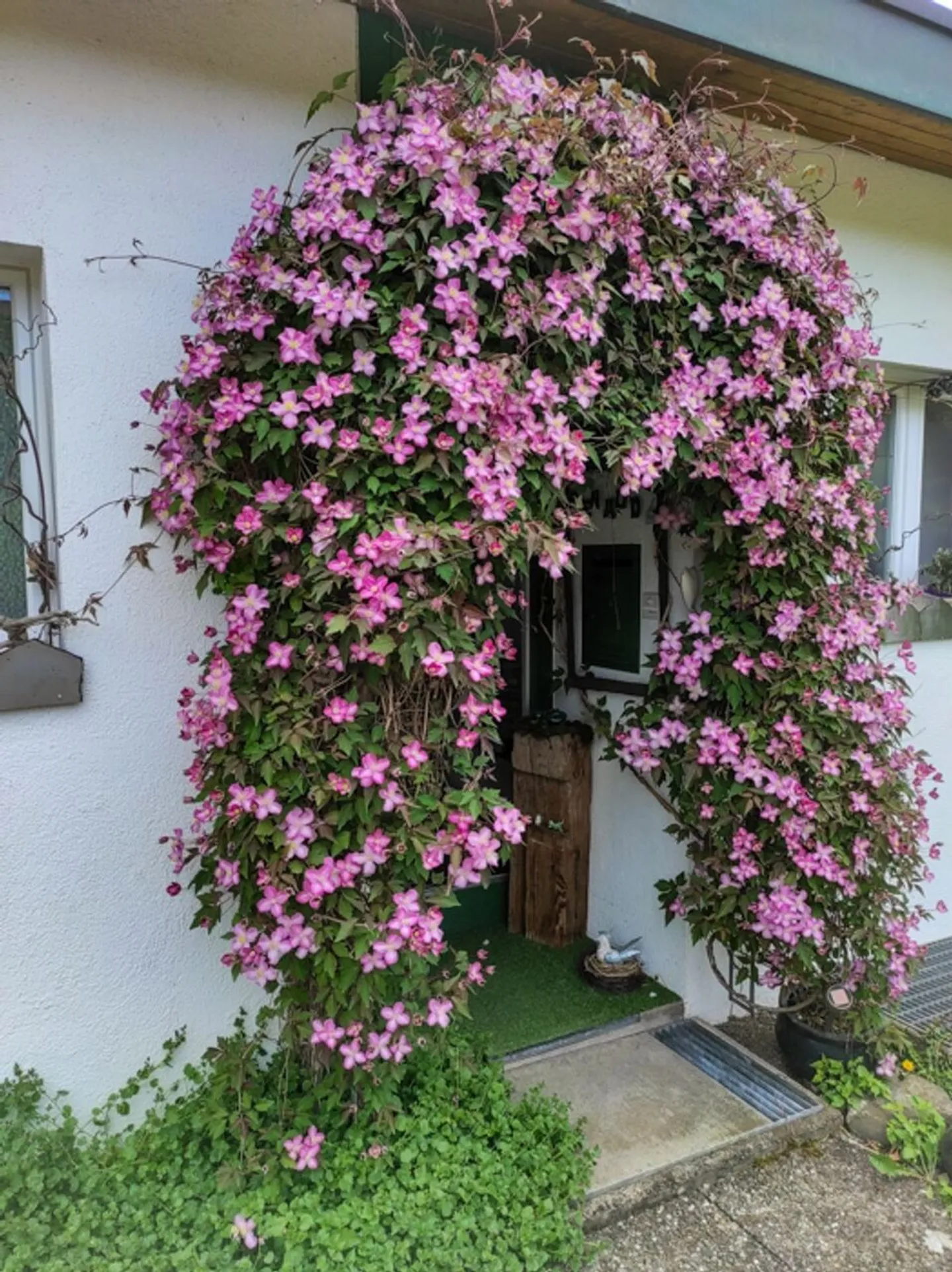 Einfamilienhaus kaufen - Foto 2 von 11