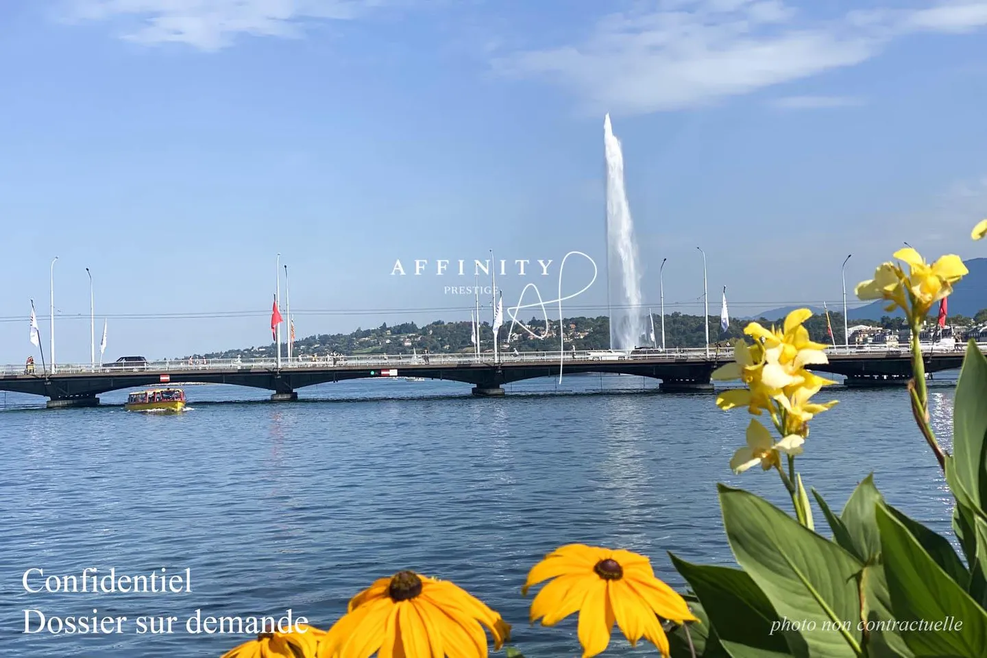 10-Zimmer-Haus - Foto 1 von 1