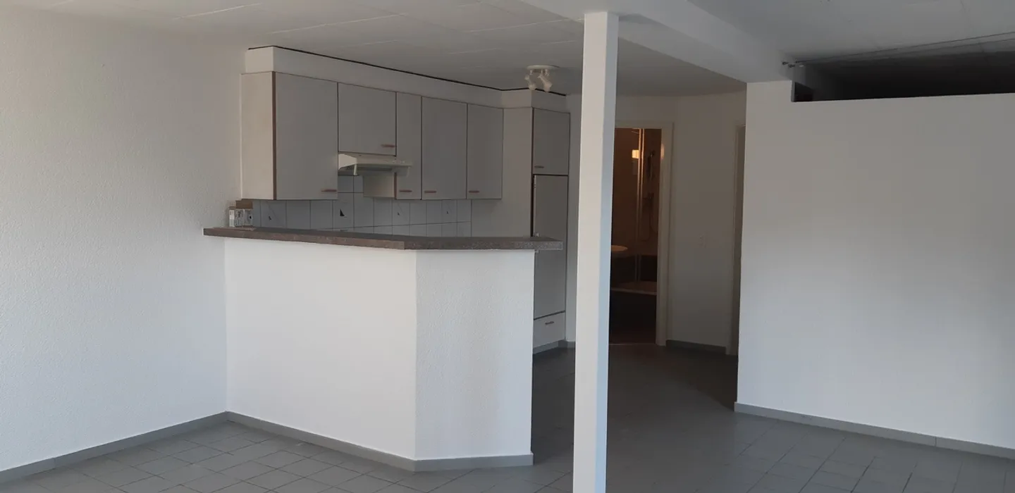 Spacious 1-room apartment - Photo 3 of 7
