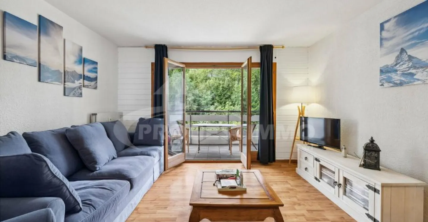 CHIC 2.5 ROOMS WITH UNOBSTRUCTED VIEW OF THE PLAIN - Photo 1 of 7