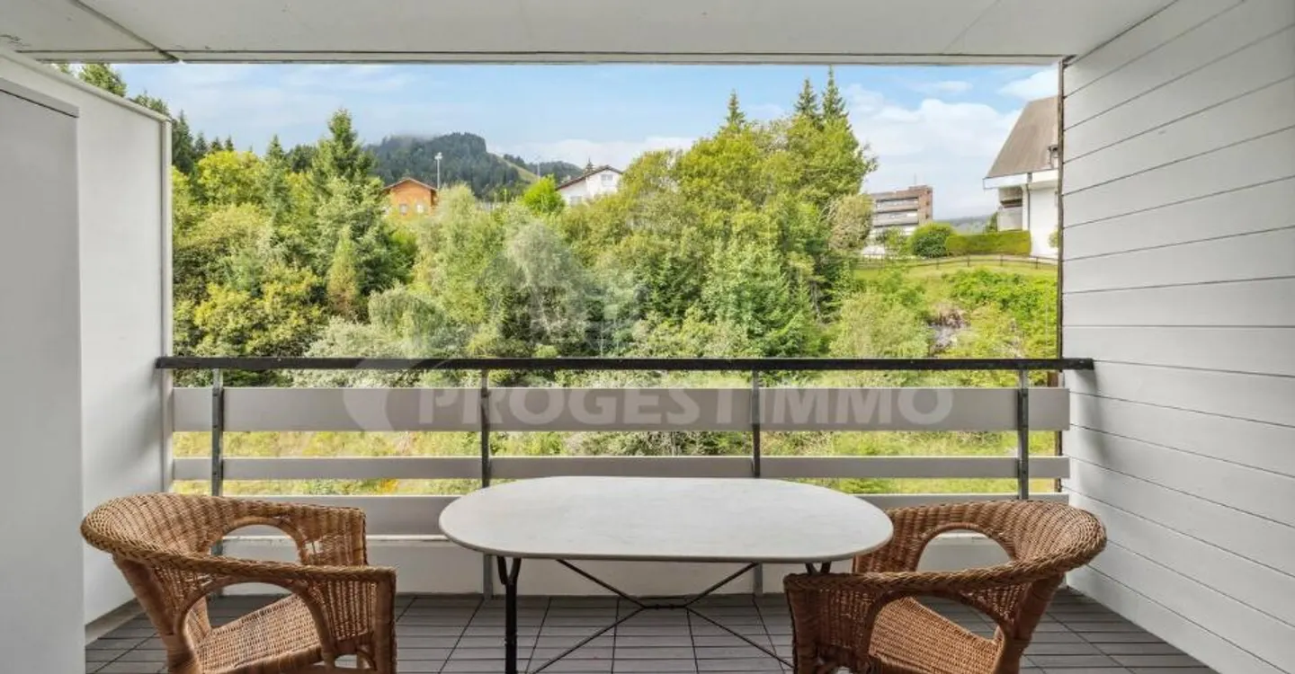 CHIC 2.5 ROOMS WITH UNOBSTRUCTED VIEW OF THE PLAIN - Photo 2 of 7