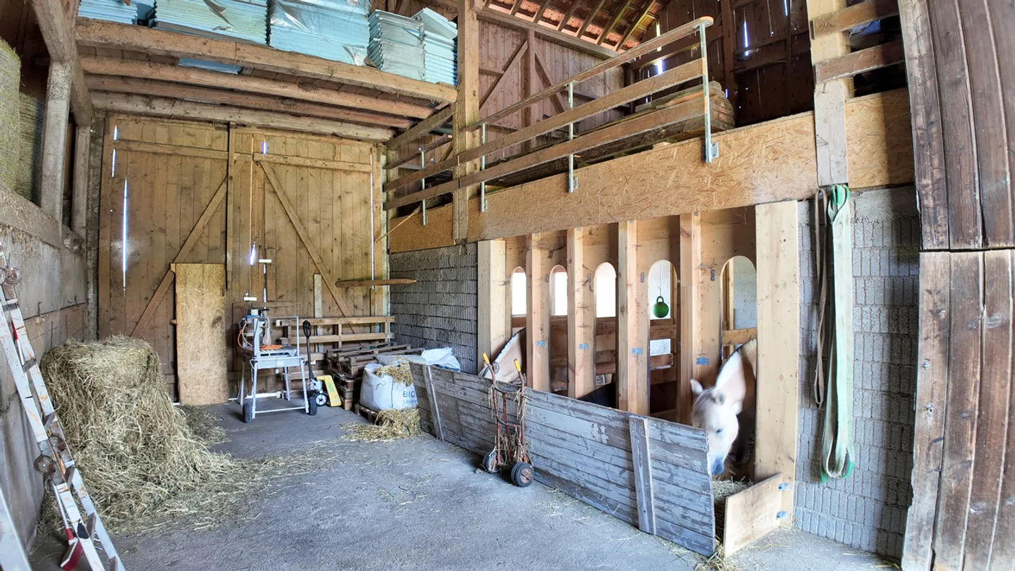 Fattoria equina ristrutturata 6.5 camere senza vicini a Villarimboud / FR - Foto 10 di 26