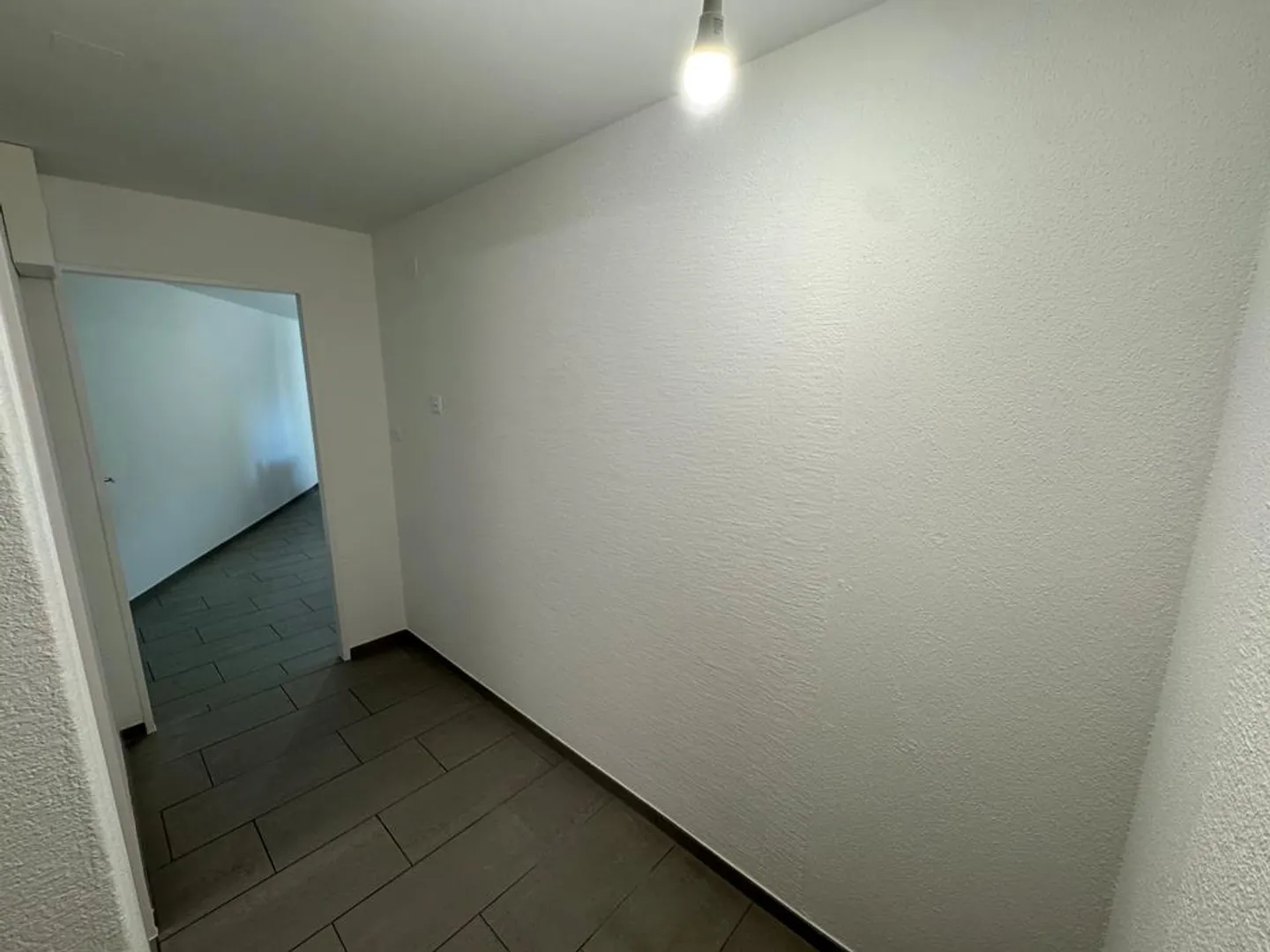 Appartamento 1 stanza parzialmente ristrutturato nel cuore di Eglisau - Foto 5 di 6