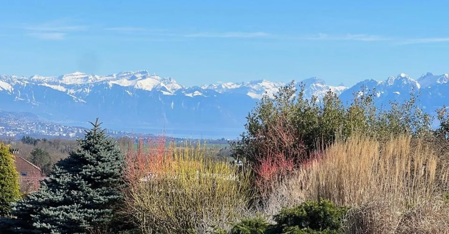 Villa 12,5 stanze - Foto 2 di 13