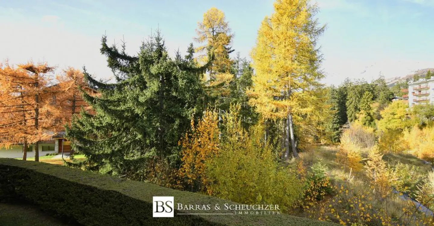 Appartement rénové à Crans-Montana - Photo 13 sur 13